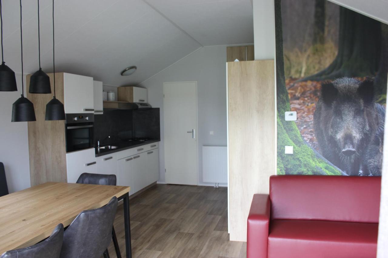 De Bijsselse Enk, Noors Chalet 1 Nunspeet Exteriér fotografie